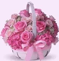 لبنى عبد الله