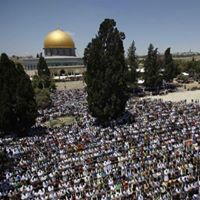 جمال النمري