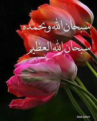 Maha Mohamed