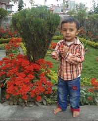 Ramesh Subedi