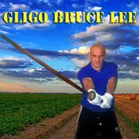 Dragiša Gligo