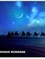 Ambreen...