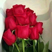 وردة الخليج