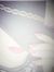 Rusel H...