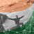 Sandeep Kumar