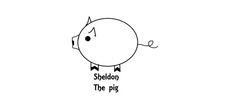 SHELDON