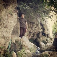 Mohamad Shawkat