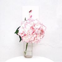 هدى السليمان