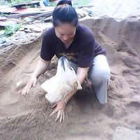 จันทรามณัส เรืองอินทร์