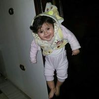 رشا عبدالحميد