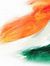 Swapnil...