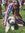 Lily Patricof | 3 comments