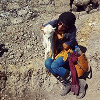 Denisse Ayllon Mascco