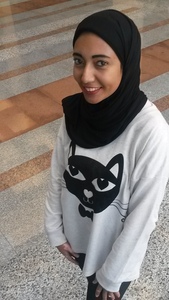 منه البرديسي