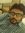 Aishary...