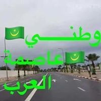 عمر الشنقيطي