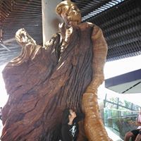 Thestory Oftree