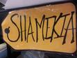 Shamekia