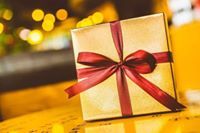 عبير الشامي