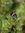 Niru | 4 comments