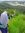 Annisa ...