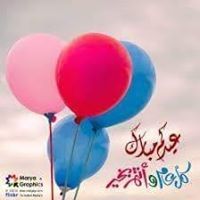 Shaimaa Mostafa