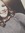 Bailee | 174 comments