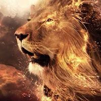 العراقي التميمي