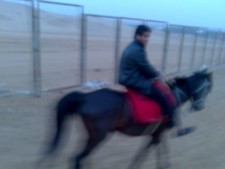 Mahmoud Sayed 