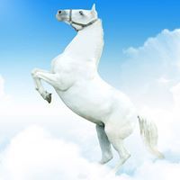 اسماعيل عبدالشافى