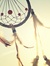 Deeya H...