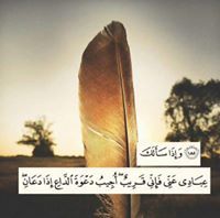 ملاك عبد الرحمن