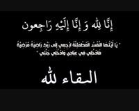 الدكتوره بتنجانه