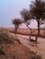 Hamad S...