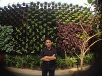 Aditya Pratama