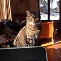 Rob