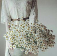 بيان جادالله