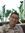 Mohamma...