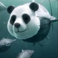 Zhixin Min
