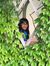 Sahar S...