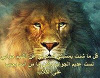 مأمون الصمادي