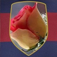 د.سنان عبدالعزيز