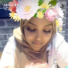 Ekram Mohamed