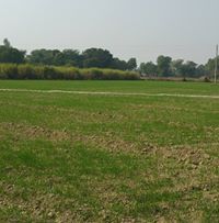 Gyanendra Yadav