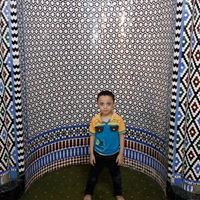 محمود العجمى