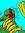 Kyoshi ...