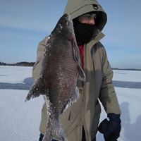 Роман Копычук