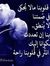 Mhmad O...