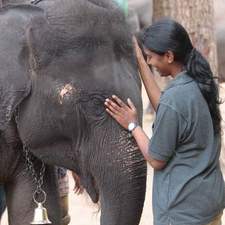 Revathe Thillaikumar 