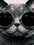 CATWOMA...